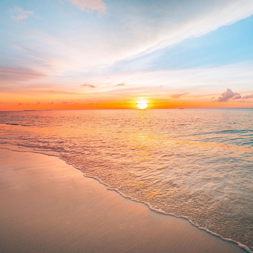 Meet your Posher, Lynn